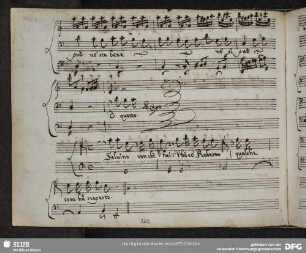 Recitativo: Selvino con chi l'hai