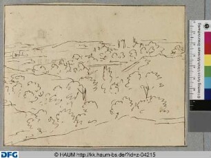Skizze einer bewaldeten Landschaft