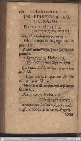 In Epistola Ad Hebraeos