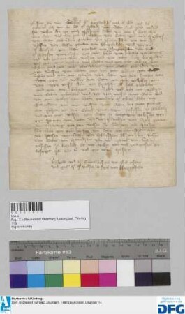 Berthold vom Stein, Waltz vom Stein, Conrad vom Stein, Bruder, genannt von Richenstein, Wolf vom Stein gen. von Klingenstein, Berthold von Stein gen. von Klingenstein, Hans vom Stein, Burkard vom Stein von Arneg und seine 2 Söhne Wolf und Berthold, Wolf vom Stein, Goetz vom Stein, Eberhard vom Stein, Wolf vom Stein, Goetz vom Stein, Hans vom Stein, Fritz vom Stein, Wolf vom Stein, Wilhalm vom Stein, Wolfs Sohn von Kyrchain alle 6 Brüder, Baerzen vom Stein Walczen vom Stein Brüder, Wolf vom Stein, Walther vom Stein Brüder, Wolf vom Stein, Walther vom Stein Brüder, Cunrad Suen von Richenstein, Wolf vom Stein den man nennet den Zaehen, Conrad von Stein gesessen zu Erlbach, Wolf vom Stein ze Jungingen gesessen, Hanman vom Stein, Wolf vom Stein genannt von Stainneg, seine Söhne Wolf und Hans, Wolf vom Stein von Haunshain, Hans vom Stein von Haimshaim, Wolf vom Stein von Haunshain, Heinrich vom Stein gesessen zu Kanstat sagen der Reichsstadt Nuernberg wegen des Hilpolt vom Stein Fehde an. - Siegler: Conrad von Richenstein, Wolf von Klingenstein.