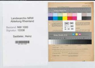 Entnazifizierung Heinz Saddeler, geb. 09.03.1908 (Generalagent)