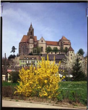Das Stephansmünster in Breisach