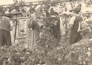 Lippische Heimattage am 08.09.1968 / Festumzug, Stadtmitte. Detmold. Lange Str. Papierabzug