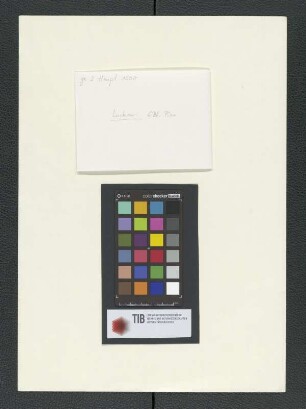 Pisa [Carl Luckow, zeichnerischer Nachlass]
