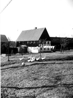 Schönfeld (Thermalbad Wiesenbad-Schönfeld). Gehöft. Feldseite