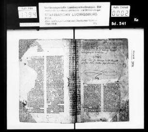 Extrakt des renovierten Urbars der zur Landkommende Altshausen gehörigen Herrschaft Neuhohenfels