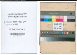 Entnazifizierung Hermann Dobra , geb. 03.04.1908 (Arzt)