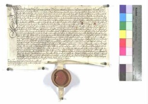 Zinsverkauf an die Heiligenpflege zu Hüttisheim (durch Hans Stryelin)