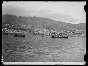 Funchal, östlicher Teil vom Schiff aus