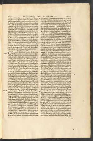 Homilia VI.