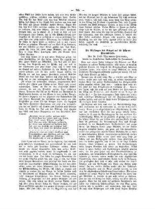 Die Wirkungen des Krieges auf die höheren Frauenberufe