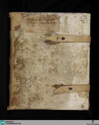 Hieronymi explanationum in Esaiam libri XIIII - XVIII - Cod. Aug. perg. 158