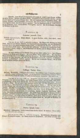 Tabula 13-17