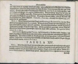 Tabula XIV.