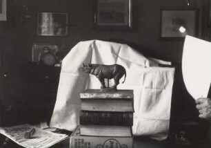 Junges Nashorn : Nashorn-Statuette (vor 1945; E. Richter) in der Wohnung der Künstlerin