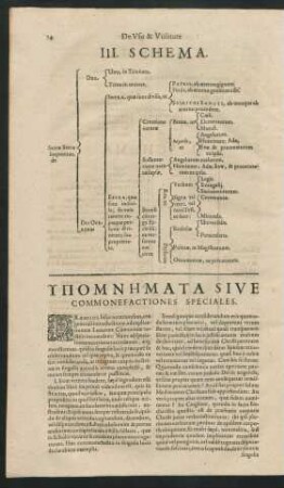 Hypomnemata Siv Commonefactiones Speciales.