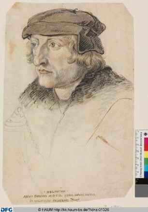 Hüftbild eines jungen Gelehrten (angeblich des Melanchthon) von unregelmäßiger Form