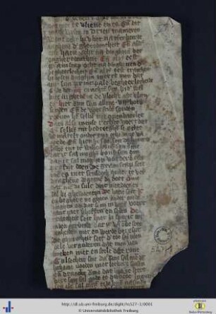 Traktat über die Sünden, Fragment