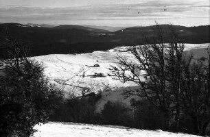 Schauinsland: Alpenblick