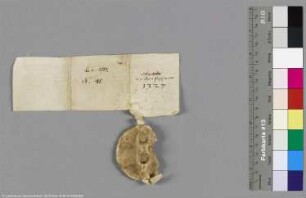 (Die Priorin Sophia des Nonnenklosters zu Zerbst, Adelheid von Gladow und Margarete von Barby)