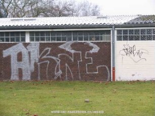 AKNE