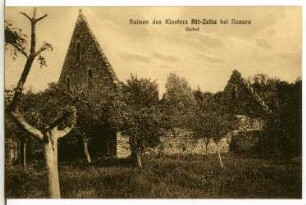 Altzella. Klosterruinen, Giebel