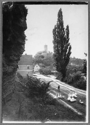 Vor Dorf und Ruine Schönburg a. d. Saale