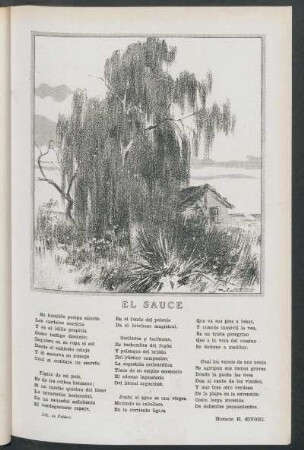 El sauce