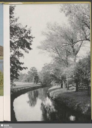 Auenlandschaft bei Knauthain
