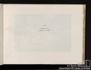 Pl. VIII. Jardin de ville Bosquet des colombes