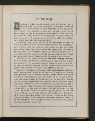Die Zwillinge