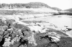 Schluchsee: Der leere Schluchsee; Ostteil Richtung Seebrugg des Restsees