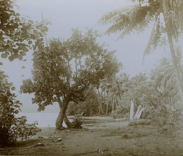 "Tahiti, Teahupoo district"