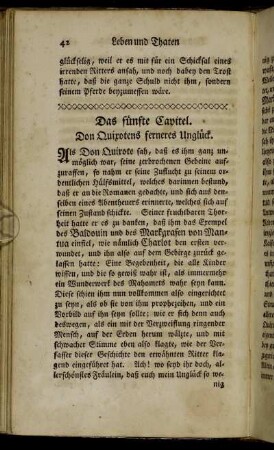 Das fünfte Capitel. Don Quixotens ferneres Unglück.
