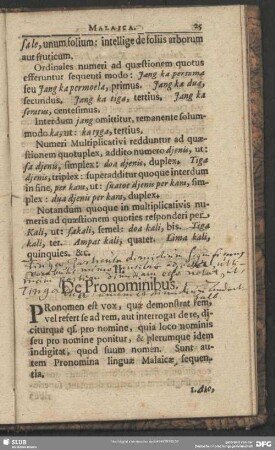 II. De Pronominibus