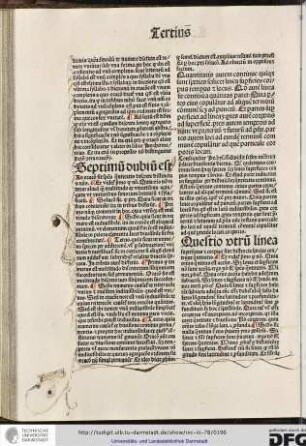 Quantitatis autem continue quinque sunt species scilicet linea, superficies, corpus, tempus et locus.