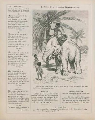 "Praktische Verwendung der Elephantenohren"