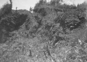 Am Berghang : Blick auf einen Berghang mit Vegetation