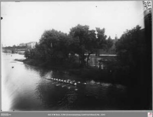 Ruder-Achter vor der Maininsel von der Alten Brücke aus