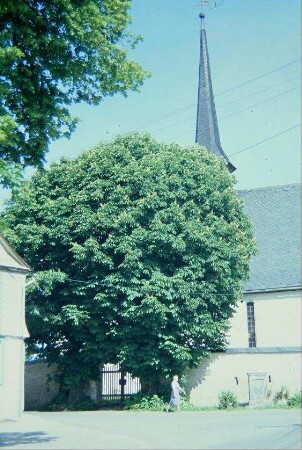 Kirchhof von S mit Wehrmauer; Kastanie am Eingang