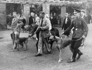Während einer Tiervorführung werden Hunde und ein Pony gezeigt