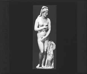 Rom: Aphrodite [in den Vatikanischen Museen]