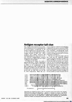 Antigen receptor tail clue