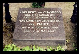 Grab Chamisso 24.6.75.