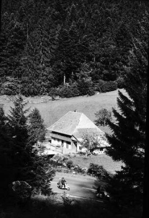 Höllental: [Oberried] Schwarzwaldhaus im Oberrieder Tal; von oben