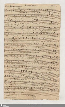[solo and coro:] Tenore primo