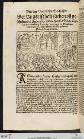 Der Vngerischen sachen vn[d] Geschichten deß Andern Teyls das Zehend Buch