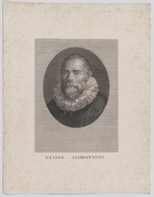 Bildnis des Ulisse Aldrovandi