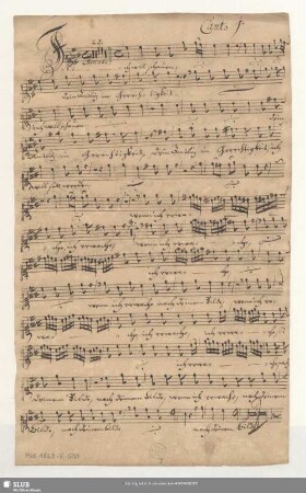Canto 1[m]o