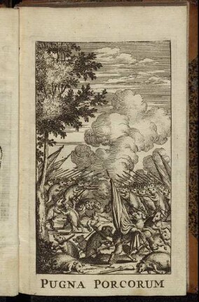 Pugna Porcorum